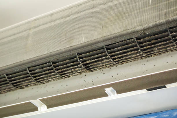 Best Air Duct Cleaning Near Me  in Bellville, TX